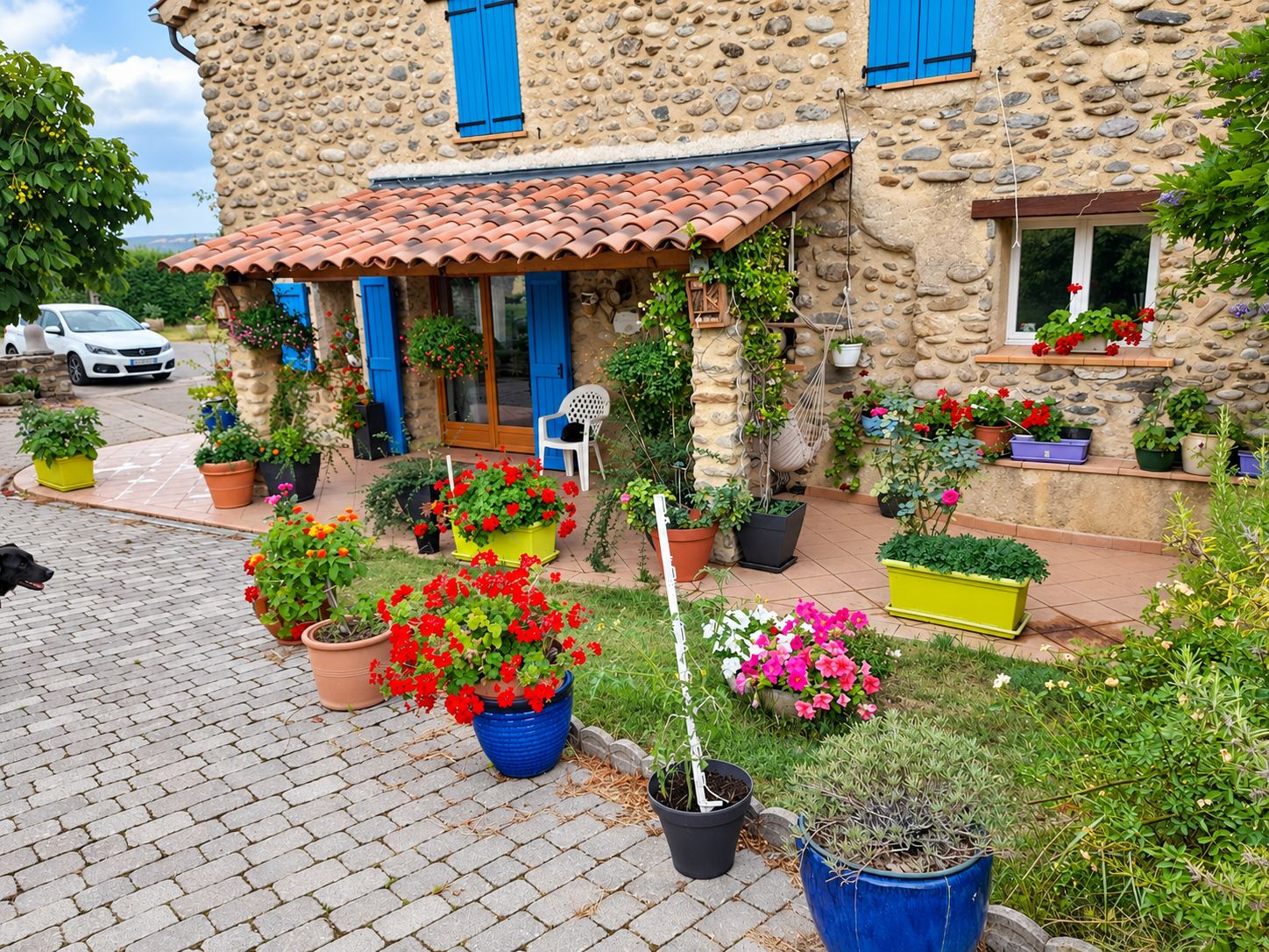 Façade d'une maison en pierre avec des volets bleus, une terrasse sous un auvent de tuiles et de nombreux pots de géraniums rouges et de fleurs colorées.